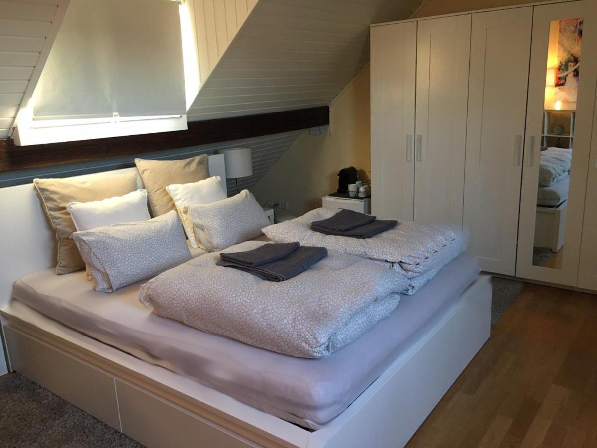 Apartament Cozy Attica - With Every Comfort - Berne Liebefeld Zewnętrze zdjęcie