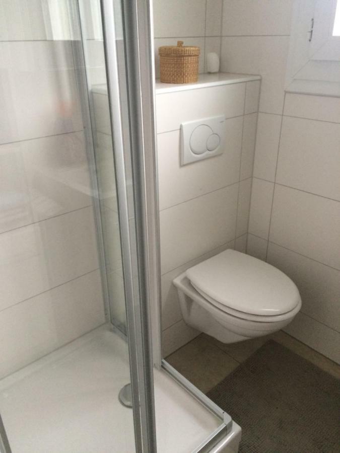 Apartament Cozy Attica - With Every Comfort - Berne Liebefeld Zewnętrze zdjęcie