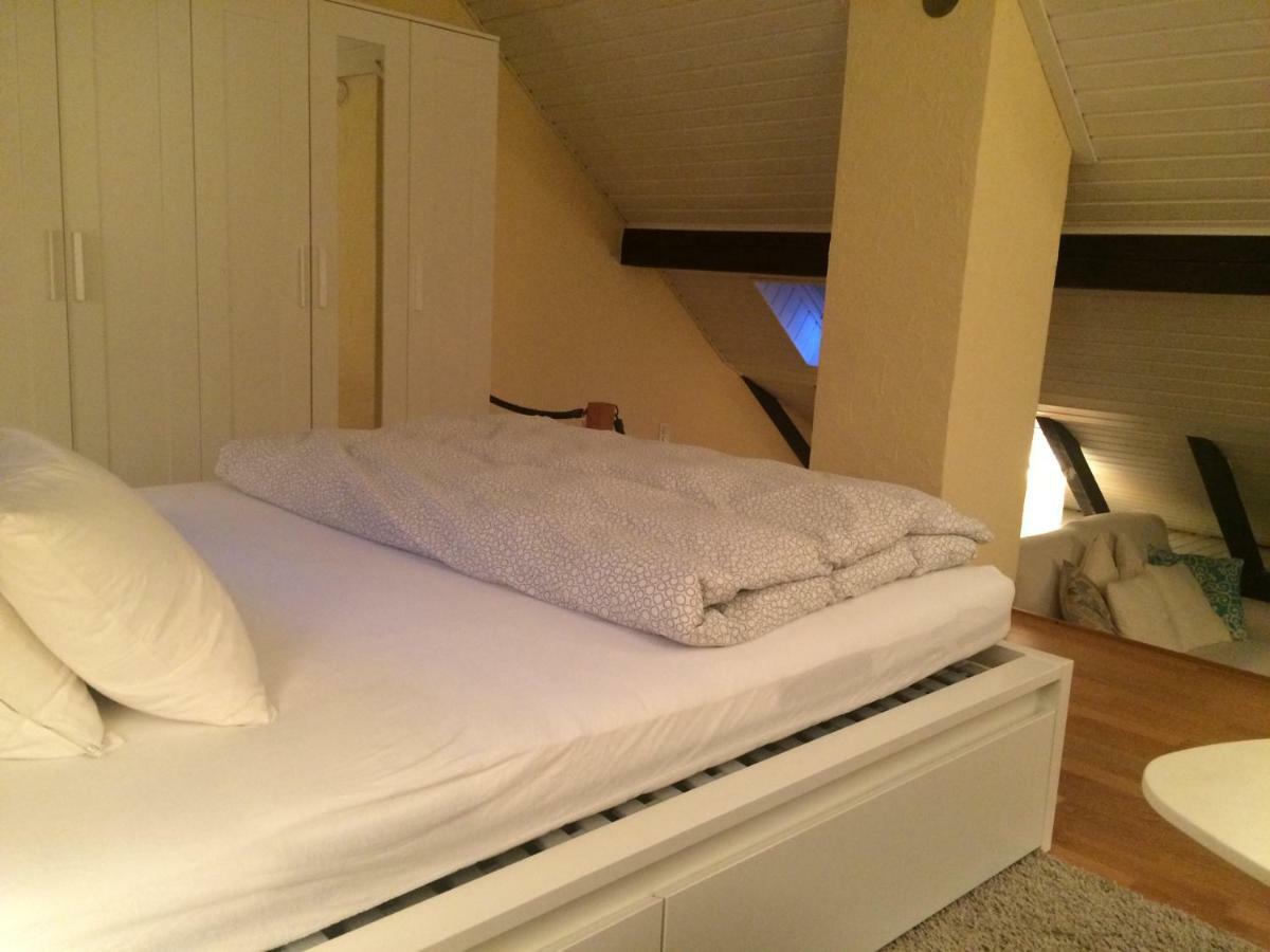 Apartament Cozy Attica - With Every Comfort - Berne Liebefeld Zewnętrze zdjęcie
